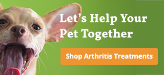 What is Dog Arthritis? banner